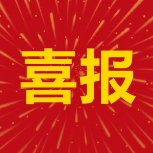 拼搏官网国际旗下两家企业入选“国家知识产权优势企业”